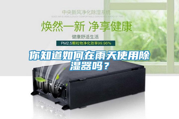 你知道如何在雨天使用除濕器嗎？