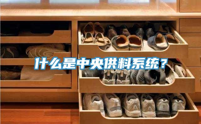 什么是中央供料系統(tǒng)？