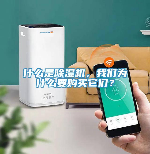 什么是除濕機，我們?yōu)槭裁匆徺I它們？