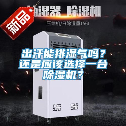 出汗能排濕氣嗎？還是應(yīng)該選擇一臺(tái)除濕機(jī)？