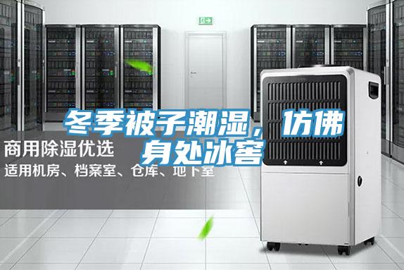 冬季被子潮濕，仿佛身處冰窖