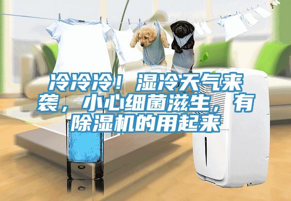 冷冷冷！濕冷天氣來襲，小心細菌滋生，有除濕機的用起來