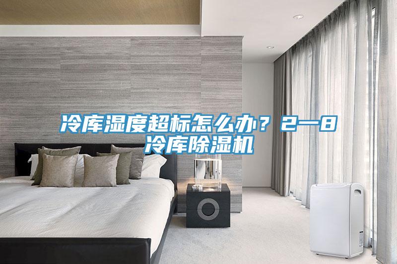 冷庫濕度超標(biāo)怎么辦？2一8℃冷庫除濕機