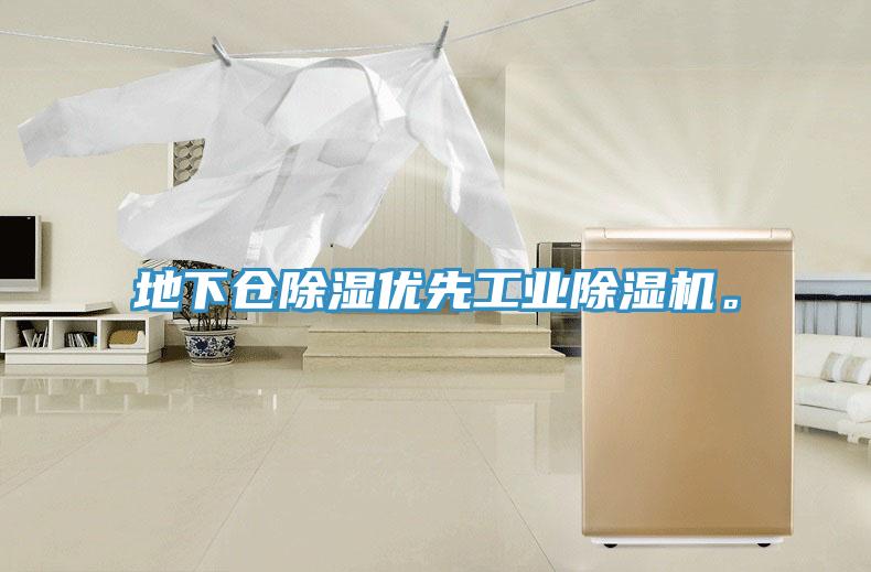 地下倉除濕優(yōu)先工業(yè)除濕機(jī)。