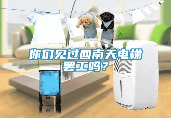 你們見過回南天電梯罷工嗎？