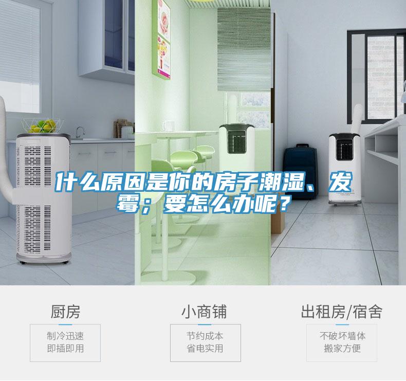 什么原因是你的房子潮濕、發(fā)霉；要怎么辦呢？
