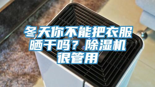 冬天你不能把衣服曬干嗎？除濕機(jī)很管用
