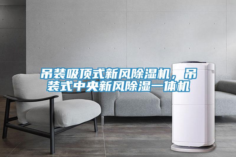 吊裝吸頂式新風除濕機，吊裝式中央新風除濕一體機