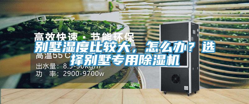 別墅濕度比較大，怎么辦？選擇別墅專用除濕機