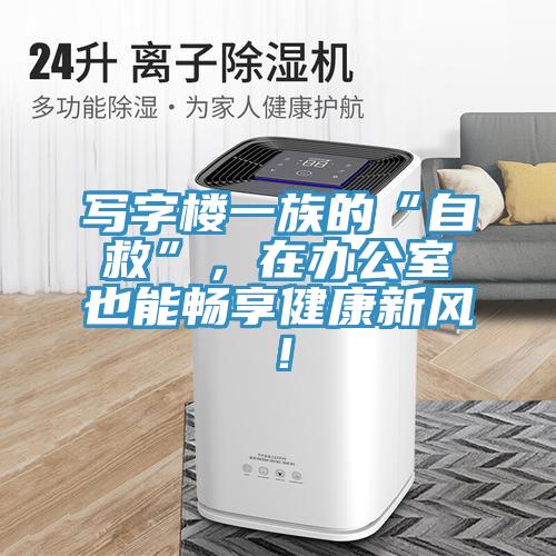 寫字樓一族的“自救”，在辦公室也能暢享健康新風(fēng)！