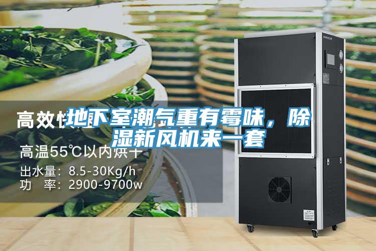 地下室潮氣重有霉味，除濕新風機來一套