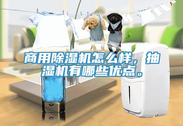 商用除濕機怎么樣，抽濕機有哪些優(yōu)點。