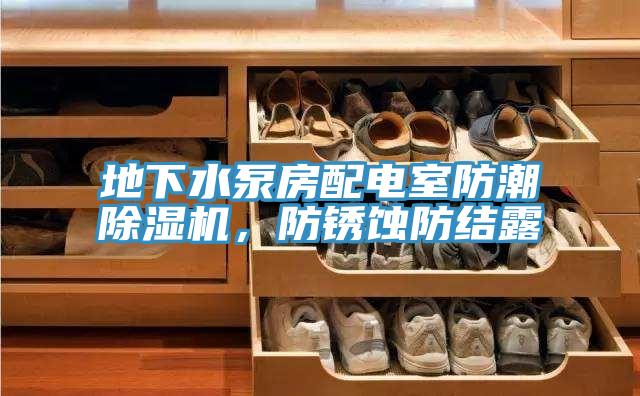 地下水泵房配電室防潮除濕機(jī)，防銹蝕防結(jié)露