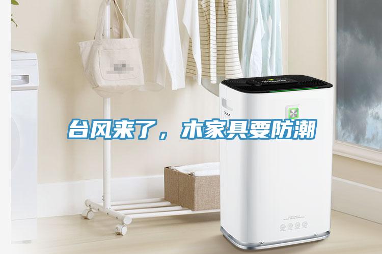 臺(tái)風(fēng)來了，木家具要防潮