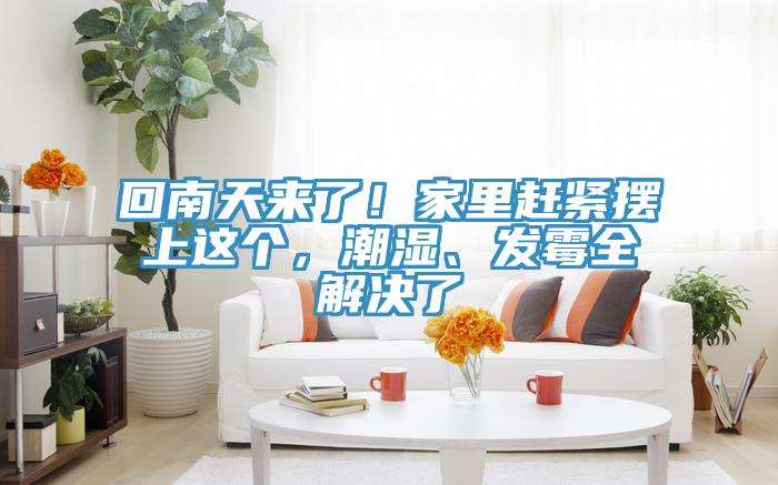 回南天來了！家里趕緊擺上這個(gè)，潮濕、發(fā)霉全解決了