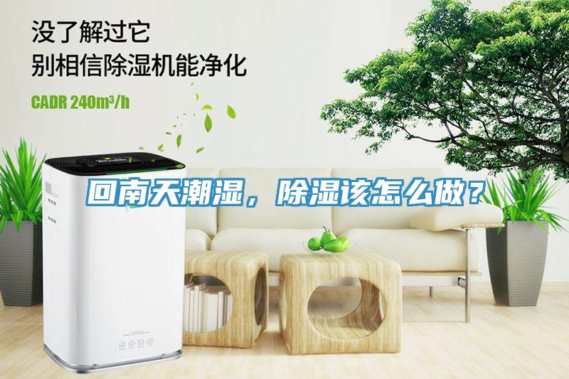 回南天潮濕，除濕該怎么做？