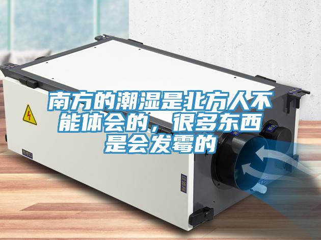南方的潮濕是北方人不能體會的，很多東西是會發(fā)霉的