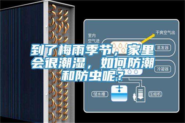 到了梅雨季節(jié)，家里會很潮濕，如何防潮和防蟲呢？