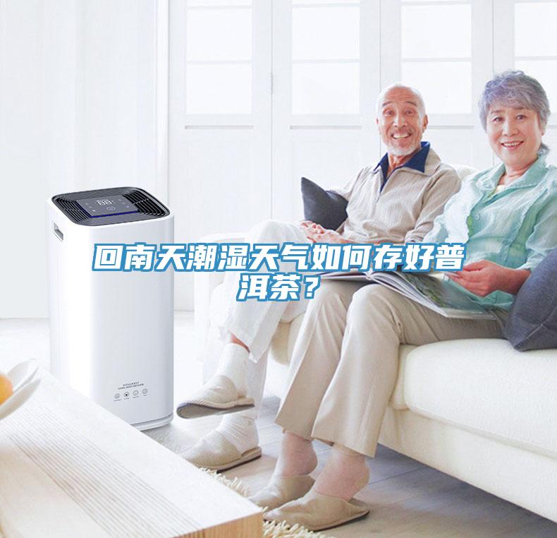 回南天潮濕天氣如何存好普洱茶？