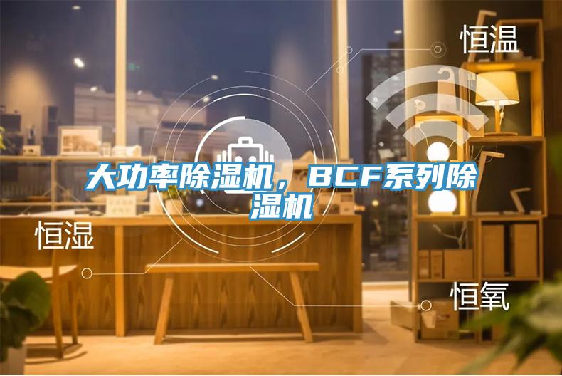 大功率除濕機(jī)，BCF系列除濕機(jī)