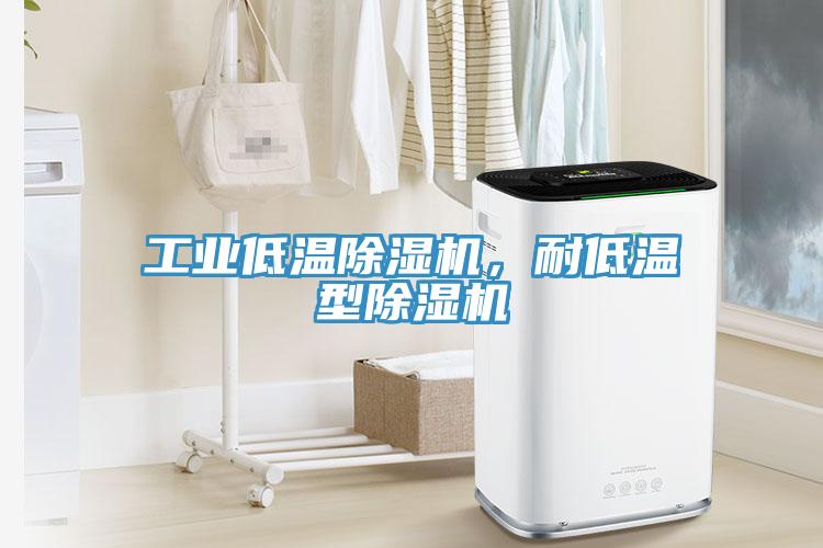 工業(yè)低溫除濕機(jī)，耐低溫型除濕機(jī)