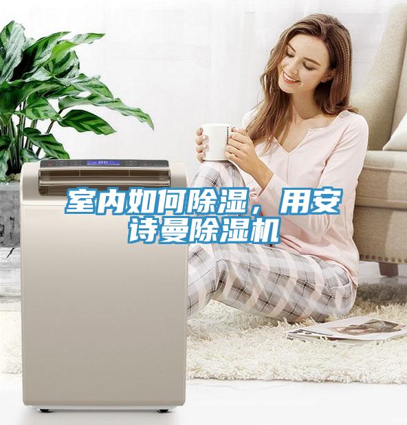 室內(nèi)如何除濕，用安詩曼除濕機