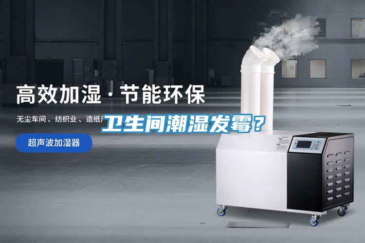 衛(wèi)生間潮濕發(fā)霉？