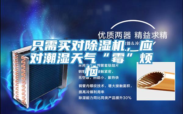 只需買對(duì)除濕機(jī)，應(yīng)對(duì)潮濕天氣“霉”煩惱