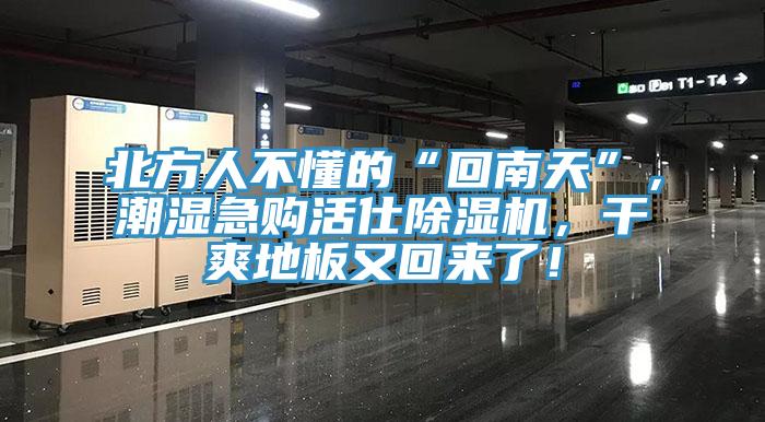 北方人不懂的“回南天”，潮濕急購(gòu)活仕除濕機(jī)，干爽地板又回來(lái)了！