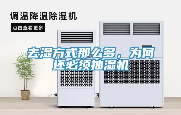 去濕方式那么多，為何還必須抽濕機(jī)