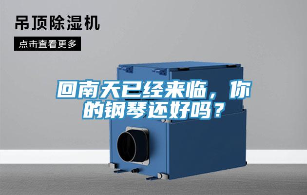 回南天已經(jīng)來臨，你的鋼琴還好嗎？