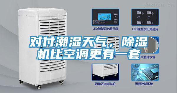 對付潮濕天氣，除濕機比空調(diào)更有一套