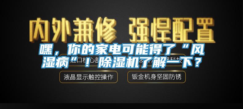 嘿，你的家電可能得了“風濕病”！除濕機了解一下？
