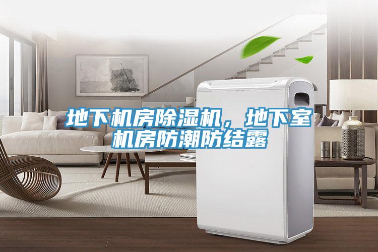 地下機(jī)房除濕機(jī)，地下室機(jī)房防潮防結(jié)露
