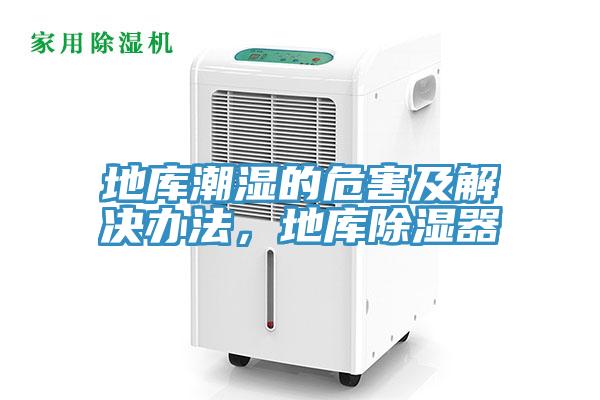 地庫(kù)潮濕的危害及解決辦法，地庫(kù)除濕器