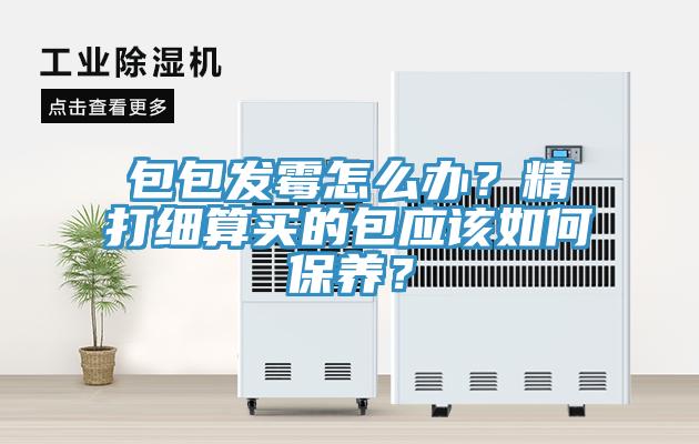 包包發(fā)霉怎么辦？精打細(xì)算買的包應(yīng)該如何保養(yǎng)？