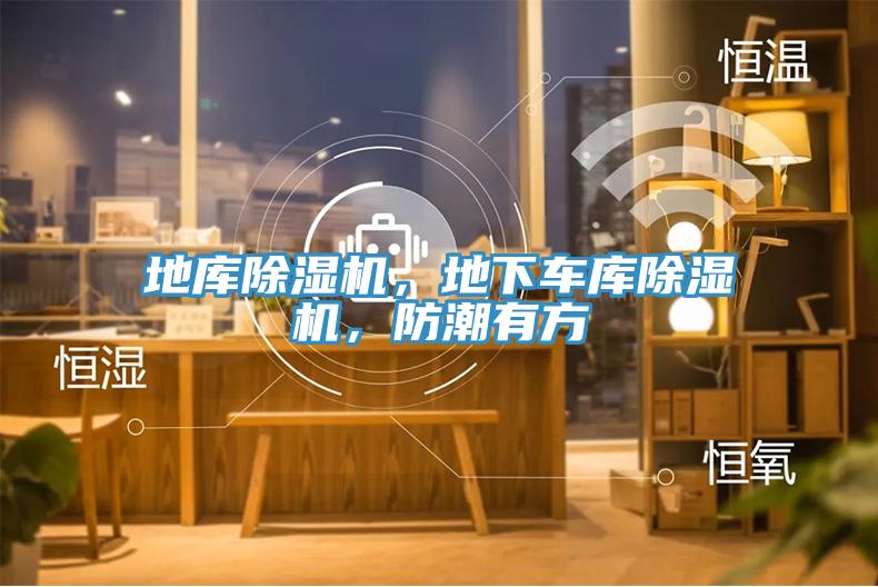 地庫(kù)除濕機(jī)，地下車庫(kù)除濕機(jī)，防潮有方