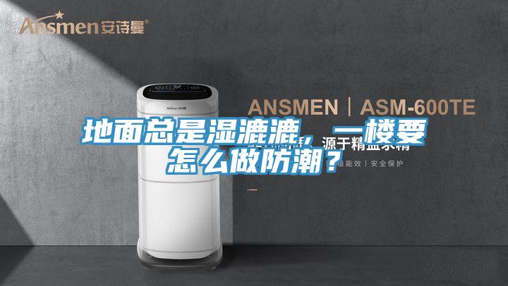 地面總是濕漉漉，一樓要怎么做防潮？
