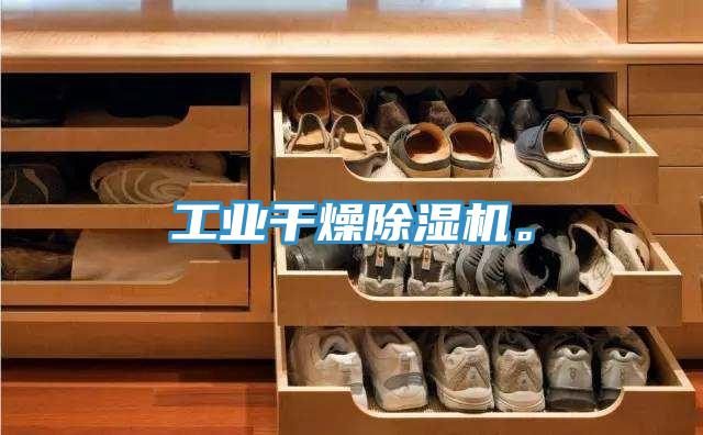 工業(yè)干燥除濕機(jī)。