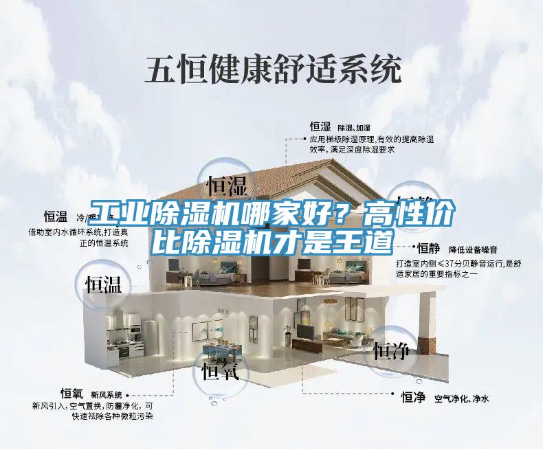 工業(yè)除濕機(jī)哪家好？高性價(jià)比除濕機(jī)才是王道