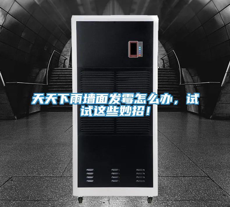 天天下雨墻面發(fā)霉怎么辦，試試這些妙招！