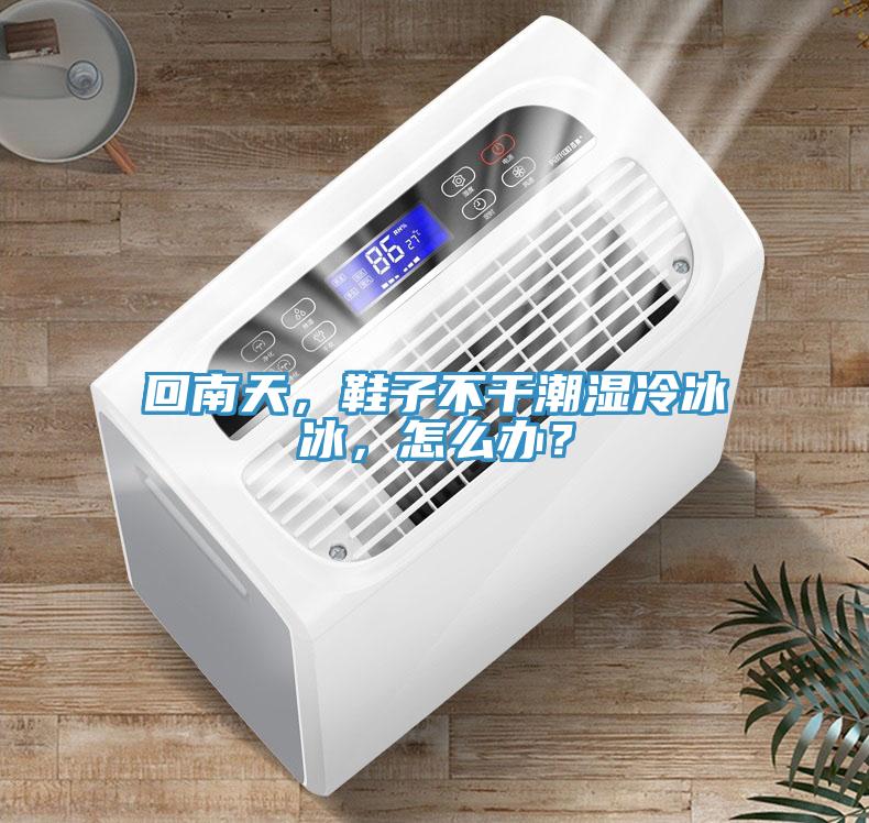 回南天，鞋子不干潮濕冷冰冰，怎么辦？