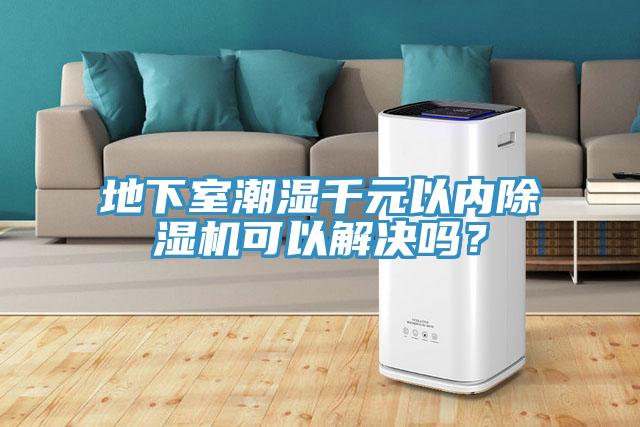 地下室潮濕千元以內(nèi)除濕機(jī)可以解決嗎？
