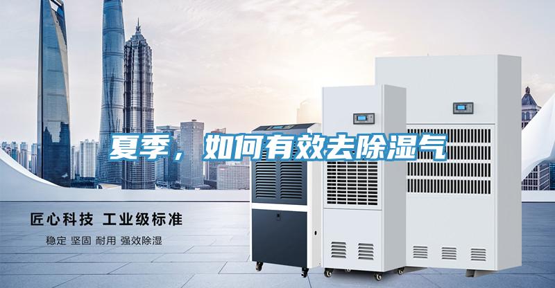 夏季，如何有效去除濕氣