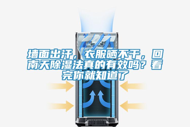 墻面出汗，衣服曬不干，回南天除濕法真的有效嗎？看完你就知道了