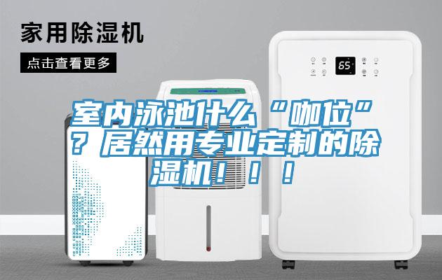 室內(nèi)泳池什么“咖位”？居然用專業(yè)定制的除濕機(jī)！??！