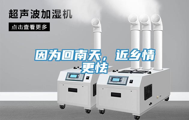 因為回南天，近鄉(xiāng)情更怯