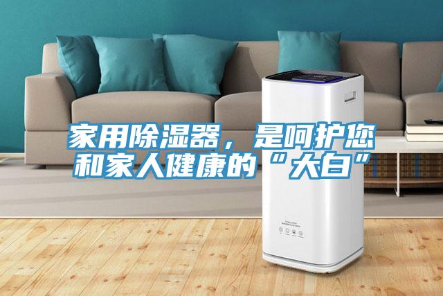 家用除濕器，是呵護您和家人健康的“大白”