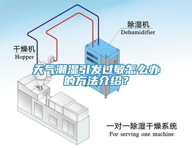 天氣潮濕引發(fā)過敏怎么辦的方法介紹？
