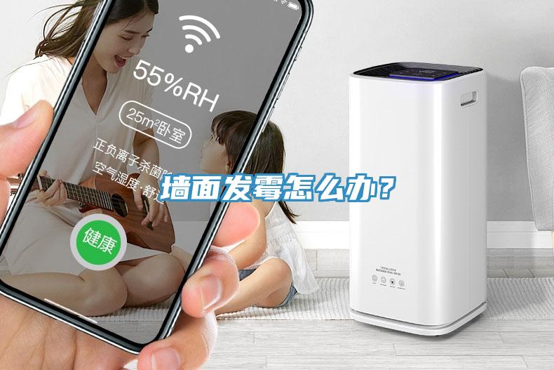 墻面發(fā)霉怎么辦？